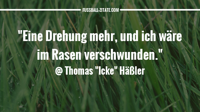 Die Besten Zitate Und Spruche Von Thomas Hassler